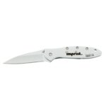 Custom "AA" Mini Maglite® With Kershaw® "Leek" Knife - 4