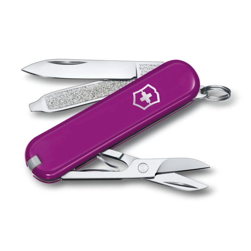 Custom Victorinox Swiss Army Corporate Gifts Knife Classic Sd Classic Colors - Tasty Grape Purple