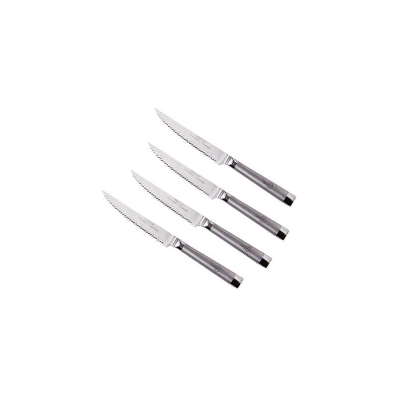 Custom Oneida 4 Piece Stainless Steel Steak Knife Set