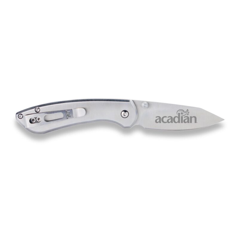 Custom Buck® Mini Sovereign Knife Stainless - 2