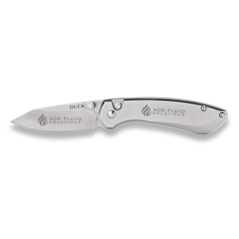 Custom Buck® Mini Sovereign Knife Stainless