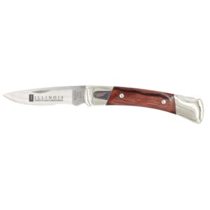 Custom Buck® Prince Lockback Knife